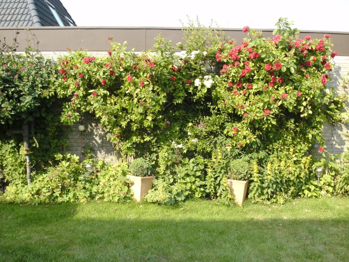 Haus Mit Lilie Und Rose Apartment Westerdeichstrich Luaran gambar